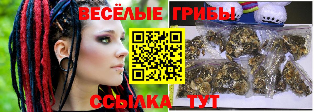 Псилоцибиновые грибы MAGIC MUSHROOMS  Псилоцибиновые грибы прущие грибы  Бугульма  Вход с VPN 